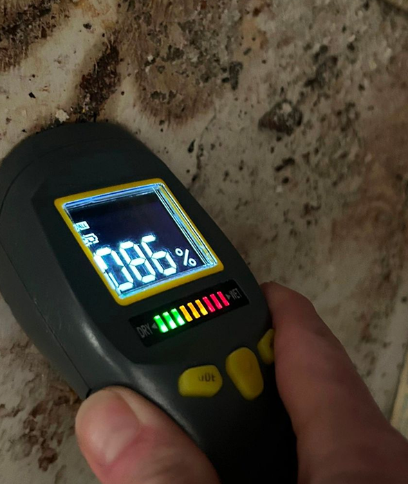 Moisture meter